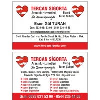 TERCAN SİGORTA ELAZIĞ TURAN ŞUBESİ