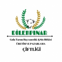 DİLEKPINAR ÇİFTLİĞİ