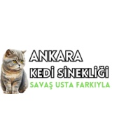 ANKARA KEDİ SİNEKLİĞİ